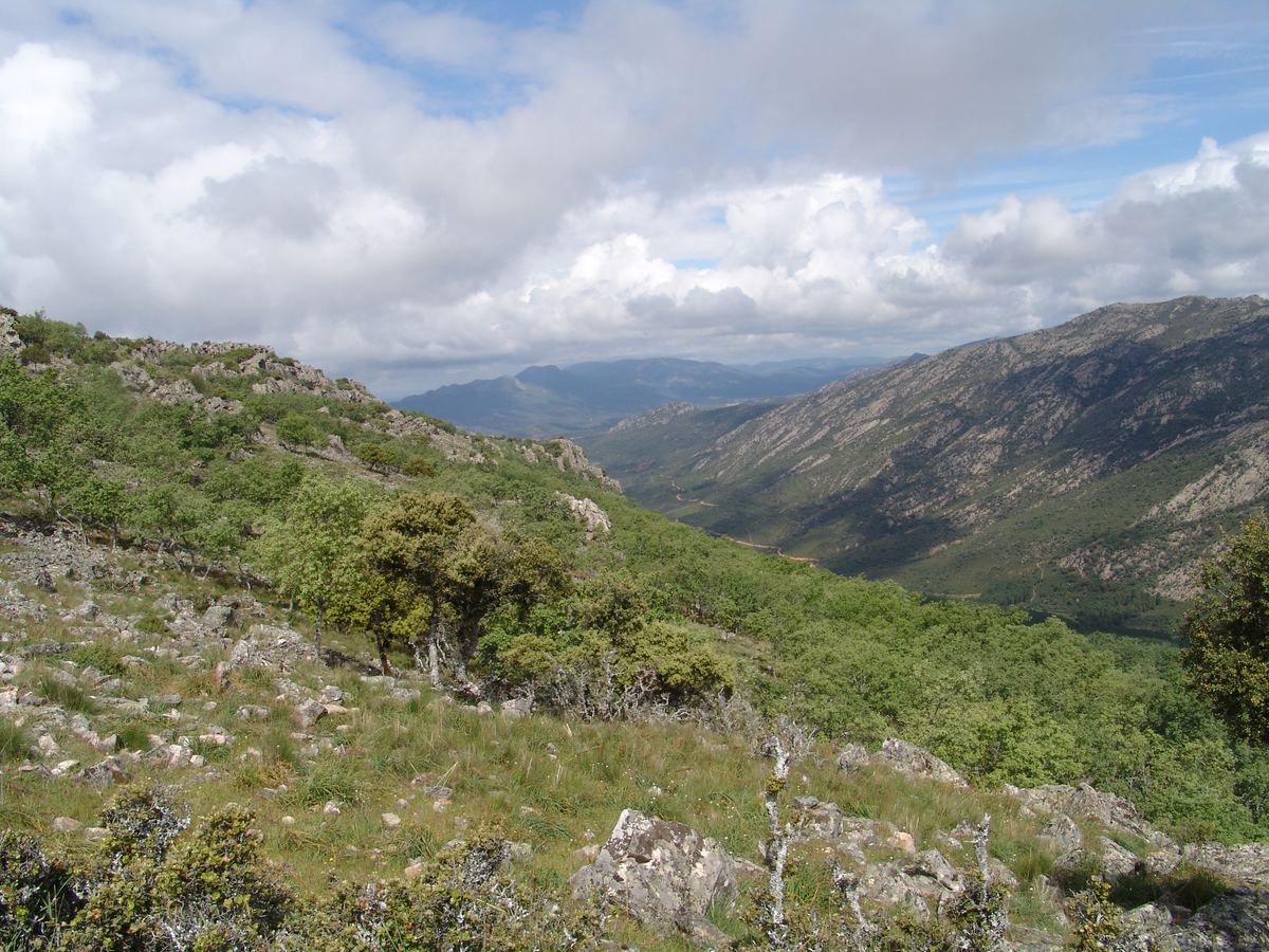 Lagunas de Ruidera — Parque Natural