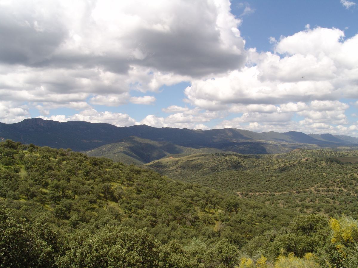 Sierra Madrona — naturaleza y senderismo